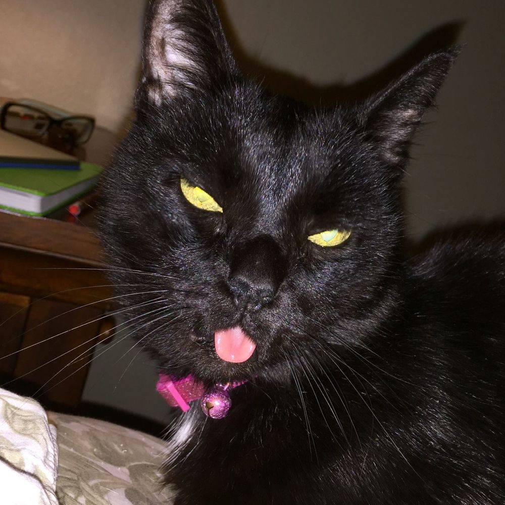 Meet your Posher, Carey